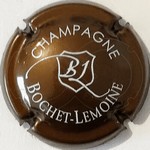 bochet lemoins